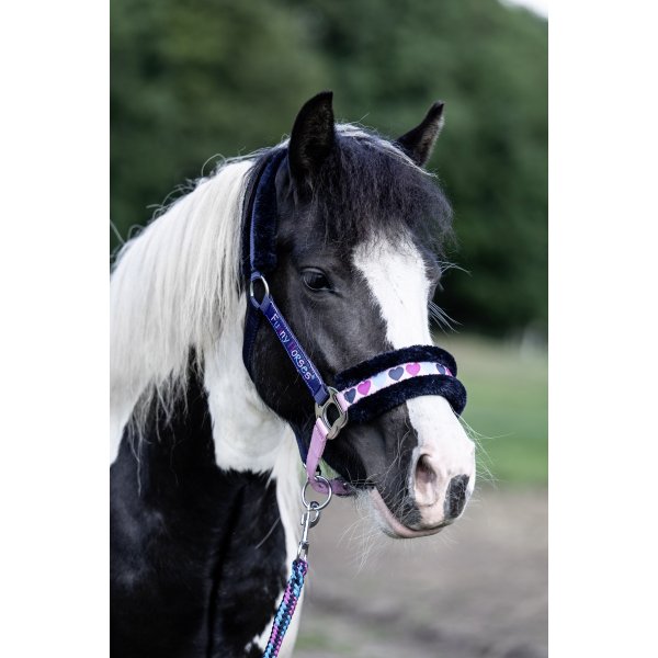 Shetty Halfter Funny Horses Hearts mit weichem Frotteematerial unterlegt - dunkelblau