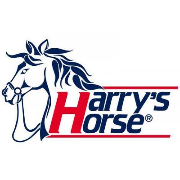 Halfter für Pferde - stabile Beschläge von Harrys Horse Reitsport, schwarz blau